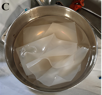 Clinical Trial Image 3