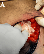 Clinical Trial Image 1
